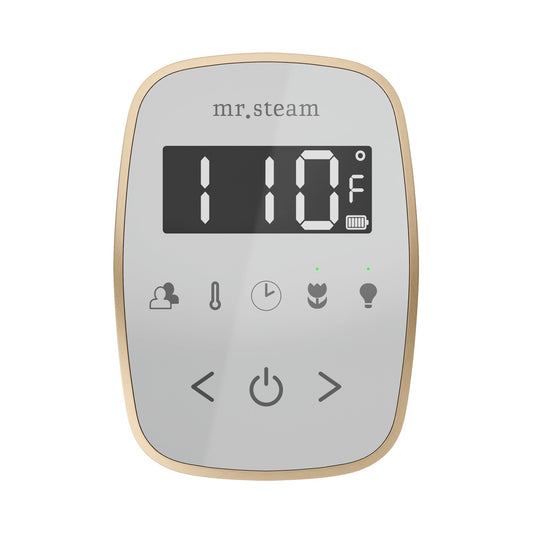 Mr. Steam TempoFlex Steam Shower Control and Steamhead